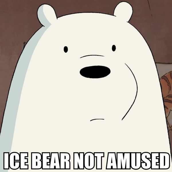 Icebear not amused